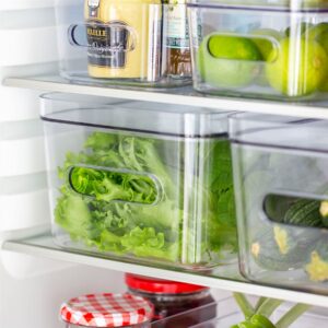 Medium Clear Stacking Lidded Fridge Storage Box