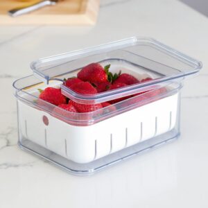 Fruit And Vegetable Storage Container- Crisp